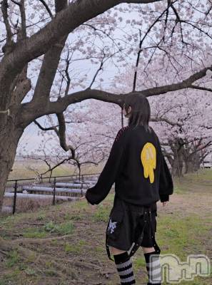 ����������ʥå��������륺�С�Girls Bar Philia(�����륺�С��ե��ꥢ) �꡼����4��6���̥�֥����֤������