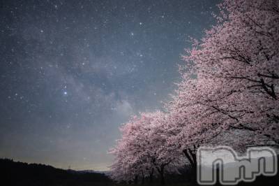 ����������ʥå��������륺�С�Girls Bar Philia(�����륺�С��ե��ꥢ) �꡼����4��13���̥�֥��������🌸��