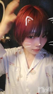 ����������ʥå��������륺�С�Girls Bar Philia(�����륺�С��ե��ꥢ) �꡼����7��14���̥�֥����֤�����������