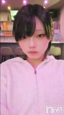 �����Ϻ�������