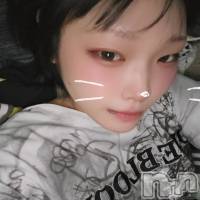 ����������ʥå��������륺�С� Girls Bar Philia(�����륺�С��ե��ꥢ) �꡼���β���(2����)