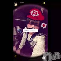 �����顼�����