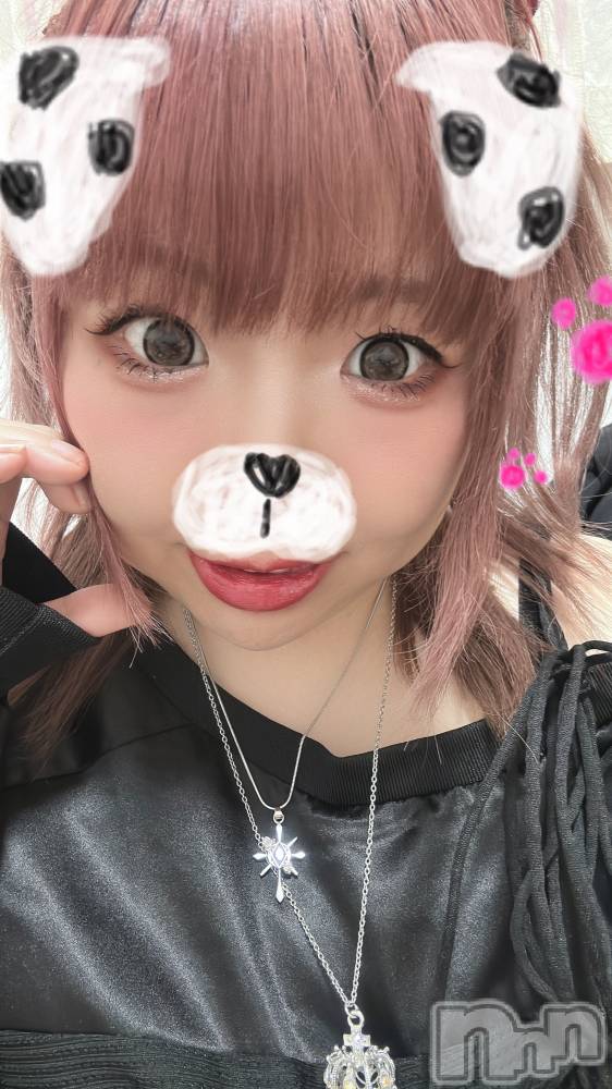 ��Į���ʥå��������륺�С�L'asile(�饸����) �⤫��3��3���̥�֥����ֺ������ä������դ���������🐾��