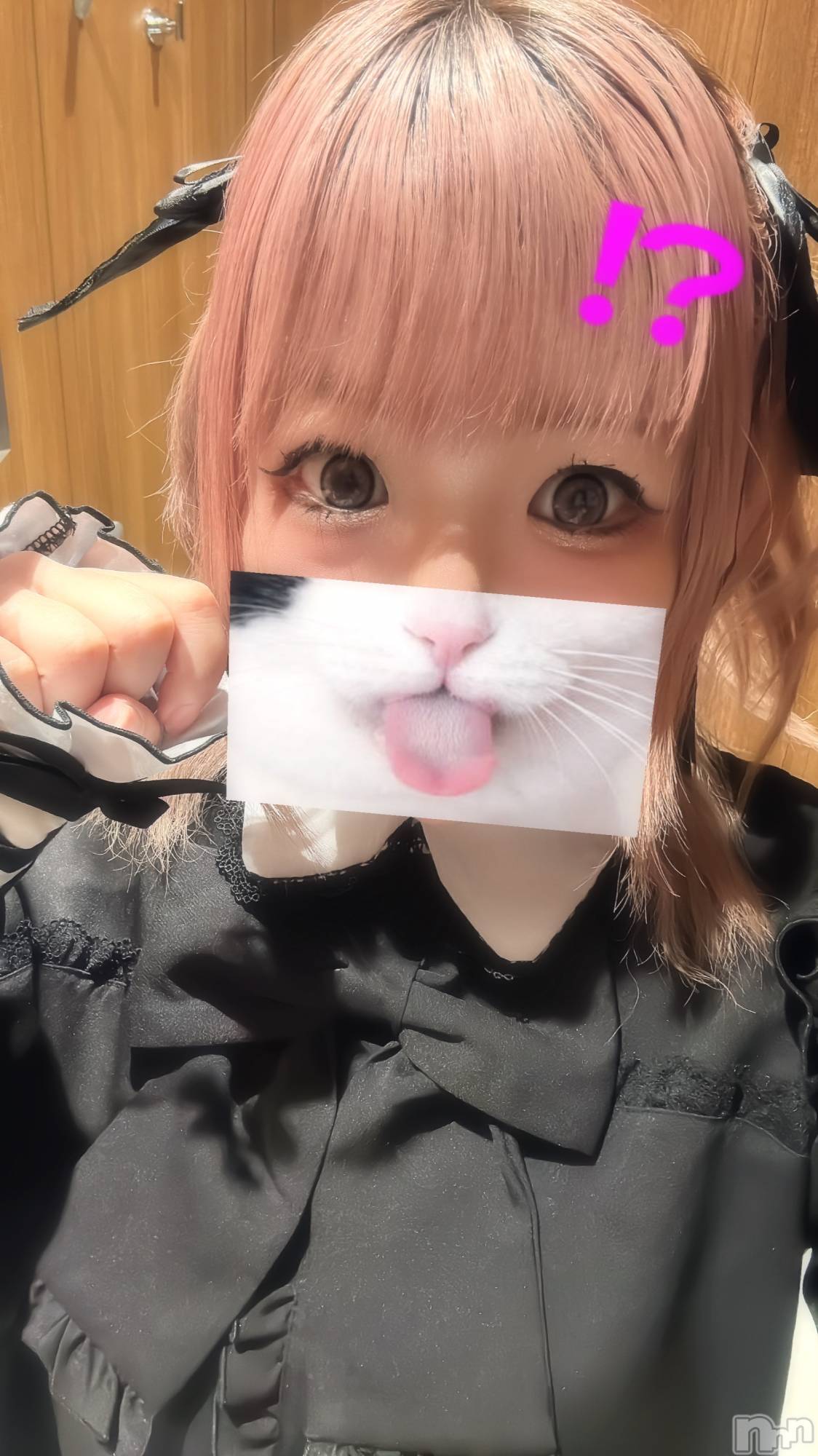 ��Į���ʥå��������륺�С�L'asile(�饸����) ��2026ǯ2��13���̥�֥����֥Х�󥿥���(*�����`*)♡��