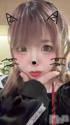 �жФ��Ƥ�褩(՞ o̴̶̷̤  ̫ o̴̶̷̤ ՞)