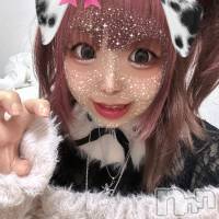 �⤫(�ҥߥ�) ��Ĺ154cm����Į���ʥå��������륺�С� L'asile(�饸����)���ҡ�