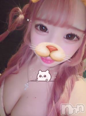 ��Ʋ�ˤ��륭��Х��顦����֥֡���ֲڲСݣȣ��Σ��£ɡ�(����֥ϥʥ�)�פΥ��㥹�ȡ֤ʤʡפξҲ����