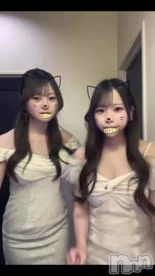 �ˤ��🐾🐈🐈