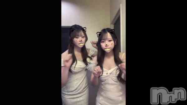 �Τ��֤ˤ��🐾🐈🐈��