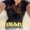 【新人】白川みれい