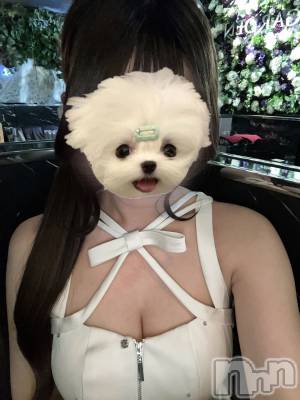 ��Ʋ����Х��顦�����CLUB FOUR GARDEN(����֡��ե��������ǥ�) �Ҥᤫ(21)��2��28���̥�֥����ֽжФ��Ƥޤ�🐰��