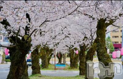 松本発デリヘル 松本人妻隊(マツモトヒトヅマタイ) すずな(30)の3月29日写メブログ「※日常※お花見中〰️」