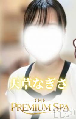 天草なぎさ(ヒミツ) スリーサイズB(A).W.H。新潟メンズエステ THE PREMIUM SPA(ザ プレミアムスパ)在籍。