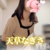 天草なぎさ