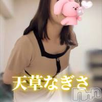 天草なぎさ