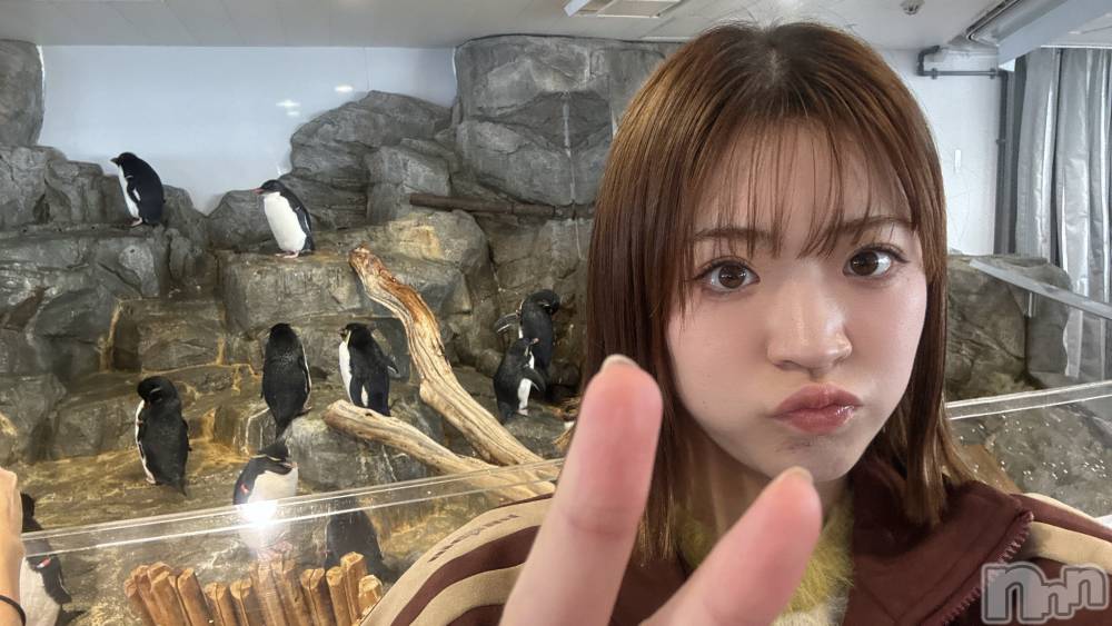 ����ȯ����ѥ˥��󥯥�ֿ��㥳��� -���㥳��ѥ˥��󥯥��-(�˥���������� -�˥���������ѥ˥��󥯥��-) �ޤʤߡ��ƥ����饬�����2��13���̥�֥����ֳ�ͷ�۹Ԥ��ޤ�������