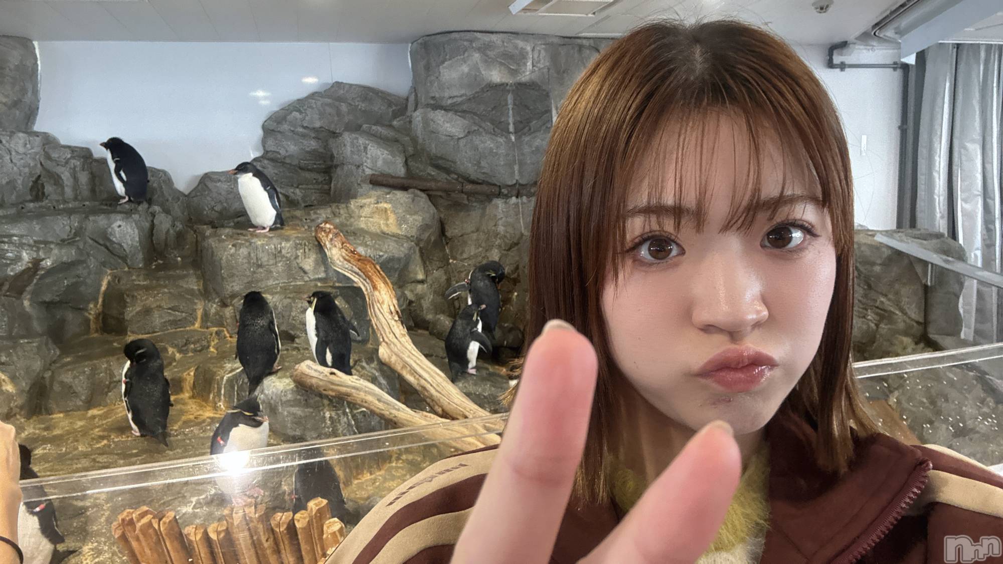 ����ȯ����ѥ˥��󥯥�ֿ��㥳��� -���㥳��ѥ˥��󥯥��-(�˥���������� -�˥���������ѥ˥��󥯥��-) ��2026ǯ2��13���̥�֥����ֳ�ͷ�۹Ԥ��ޤ�������