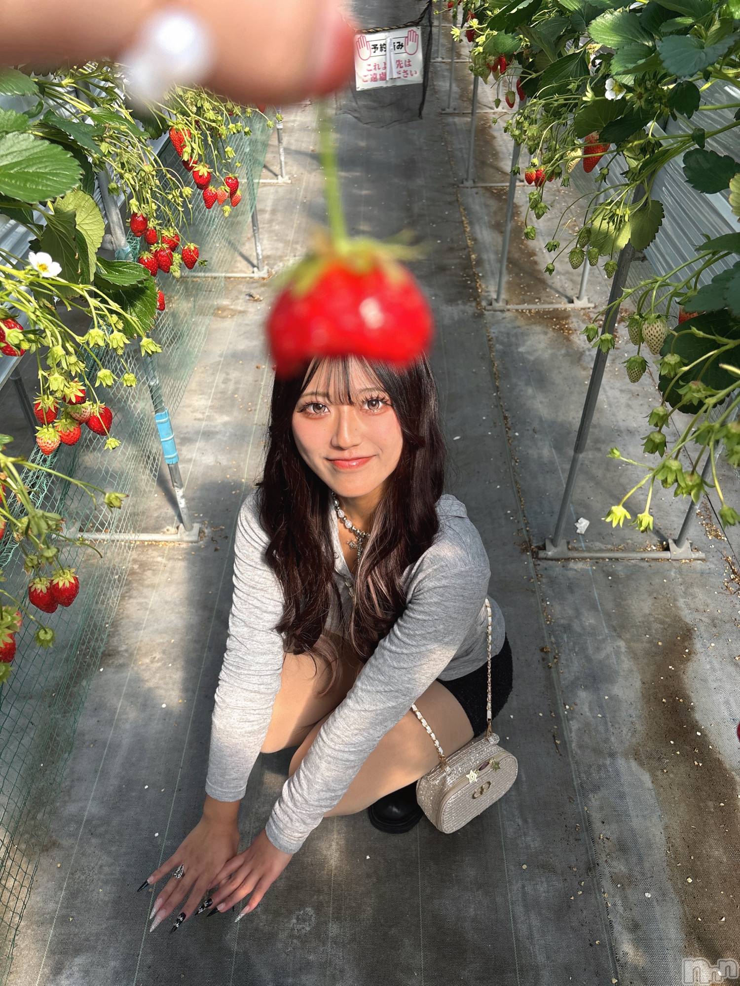 ���ܱ�������Х��顦�����CLUB FOUR LEAF(�ե����꡼��) ��2026ǯ3��19���̥�֥�����🍓🍓🍓��