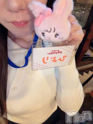 ����������ʥå��������륺�С������륺�С� �ӥ���٥˥塼(�����륺�С��ӥ���٥˥塼) �Ҥ���3��28���̥�֥�����3��饹�ȽжС���