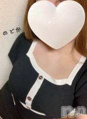 新潟メンズエステMen's Spa 神の手(メンズスパカミノテ) 【新人】白井のどかの2月22日写メブログ「出勤日決まりました🐈‍⬛」