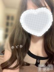 新潟メンズエステMen's Spa 神の手(メンズスパカミノテ) 白井のどかの4月11日写メブログ「今日出勤だよ🐬🫧」