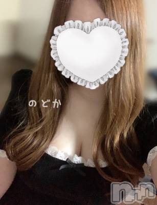 新潟メンズエステ Men's Spa 神の手(メンズスパカミノテ) 【新人】白井のどか(ヒミツ)の3月1日写メブログ「急募‼︎」