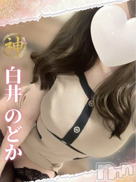 白井のどか