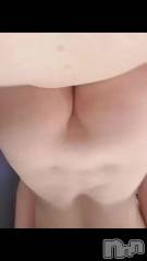 新潟デリヘル新潟人妻　2nd Wife(セカンドワイフ) 体験。わかな奥様(27)の2月18日動画「圧倒的腰振り動画💓」