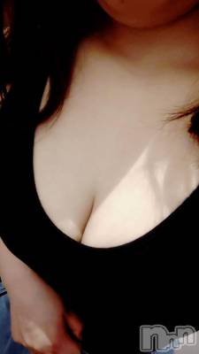 長岡デリヘル ROOKIE(ルーキー) ありす(31)の4月17日写メブログ「お家に帰るよん♪」