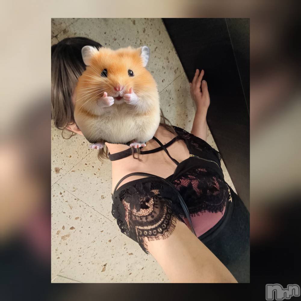 ���ᥭ��Х��顦�����CLUB ASLI(����֥�����) ����ߤ�3��5���̥�֥����֤���Ф�ϡ�