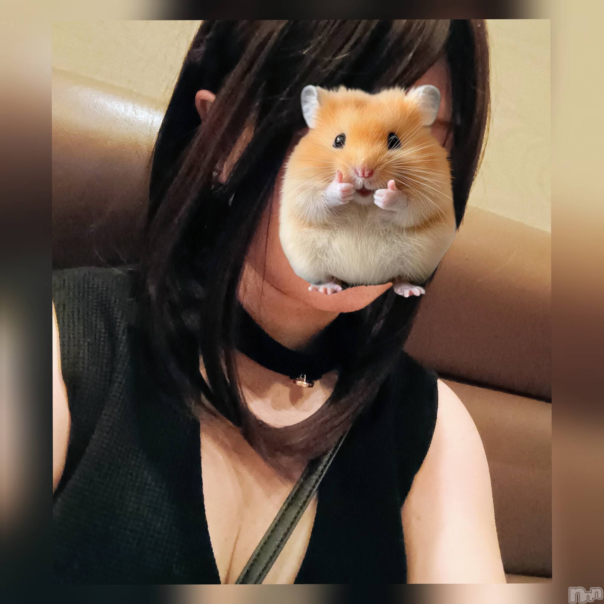 ���ᥭ��Х��顦�����CLUB ASLI(����֥�����) ��2026ǯ3��20���̥�֥�����3��20����