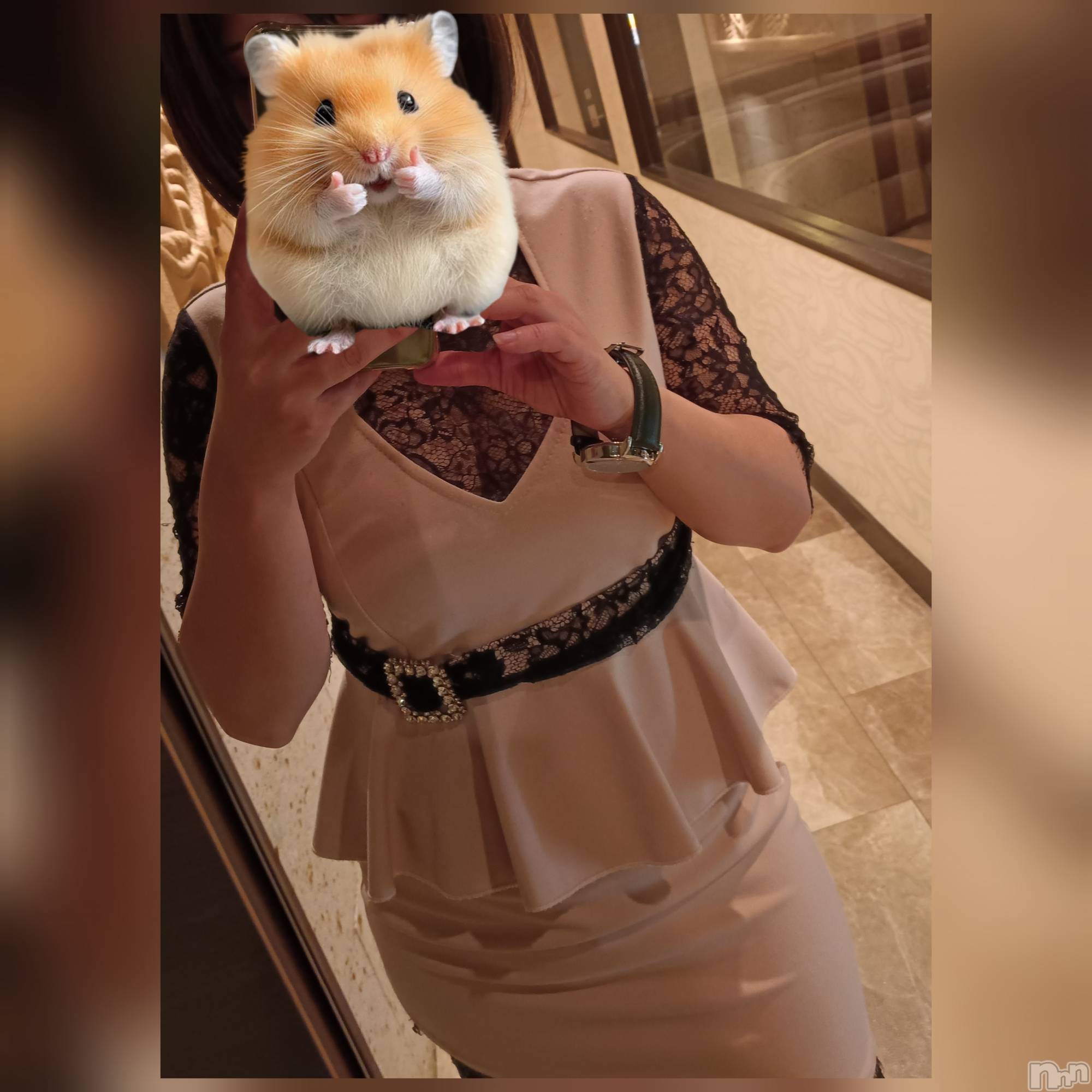 ���ᥭ��Х��顦�����CLUB ASLI(����֥�����) ��2026ǯ3��28���̥�֥���������������