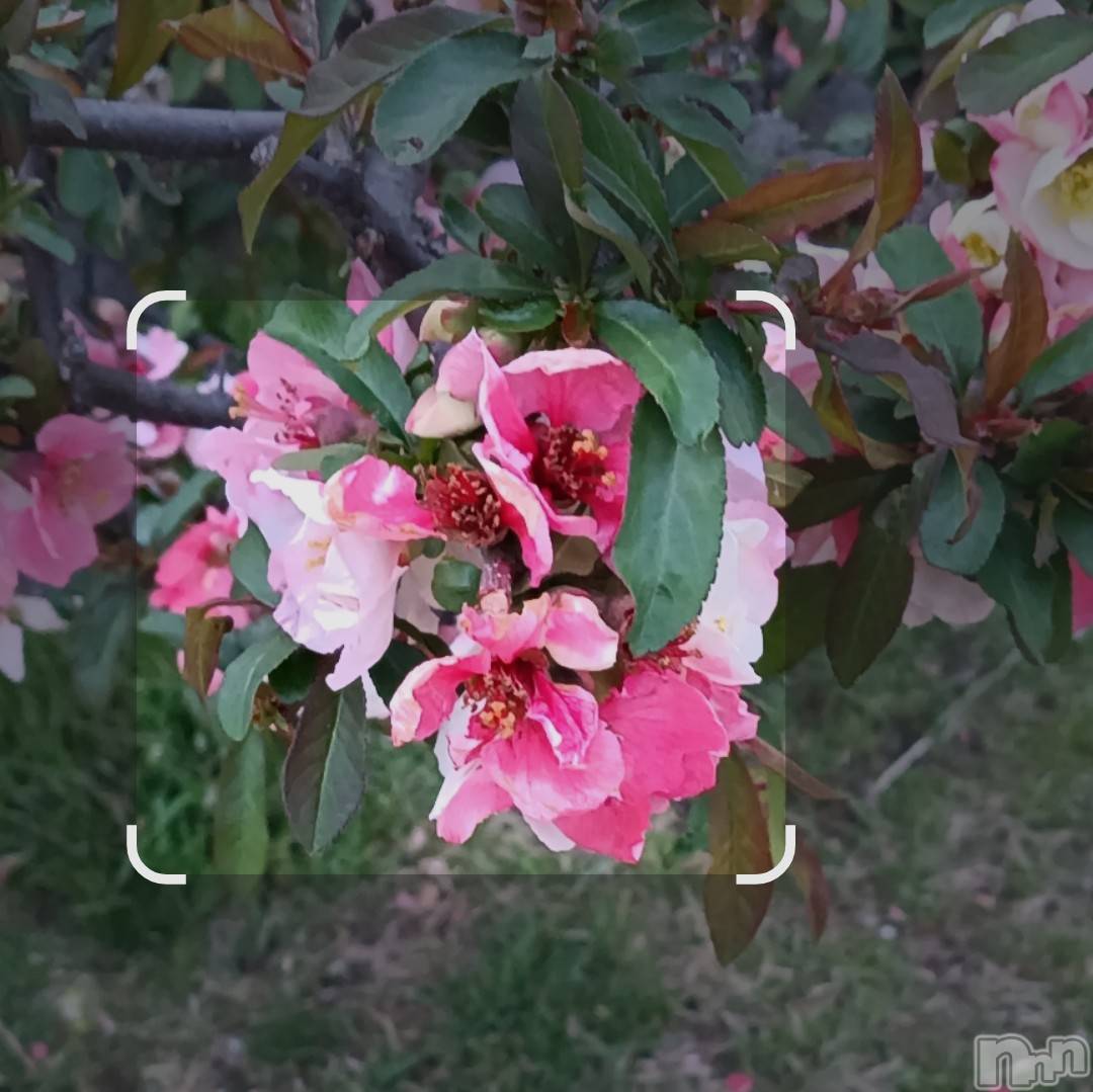 ���ᥭ��Х��顦�����CLUB ASLI(����֥�����) ��2026ǯ4��14���̥�֥�����04/14��