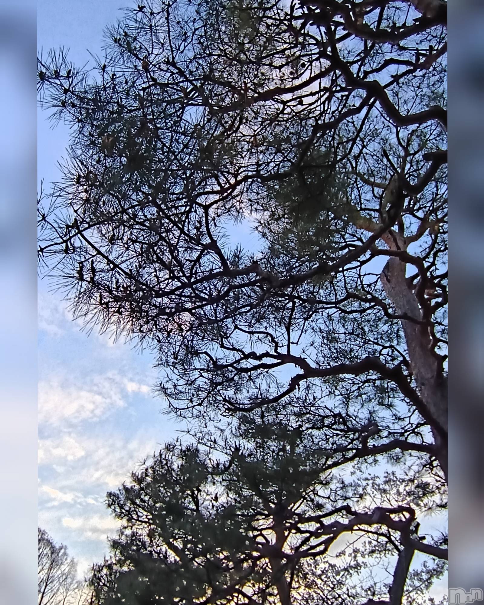 ���ᥭ��Х��顦�����CLUB ASLI(����֥�����) ��2026ǯ4��16���̥�֥�����04/16��