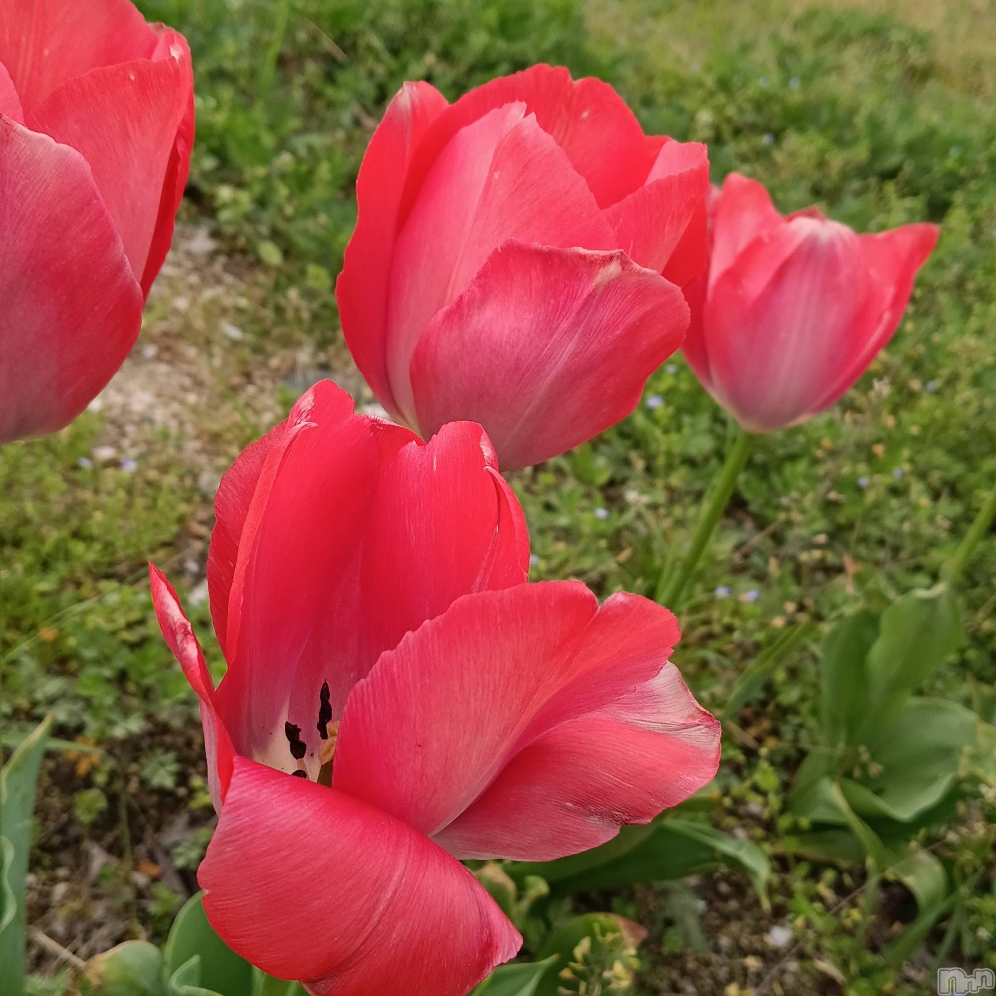 ���ᥭ��Х��顦�����CLUB ASLI(����֥�����) ��2026ǯ4��23���̥�֥�����04/23��