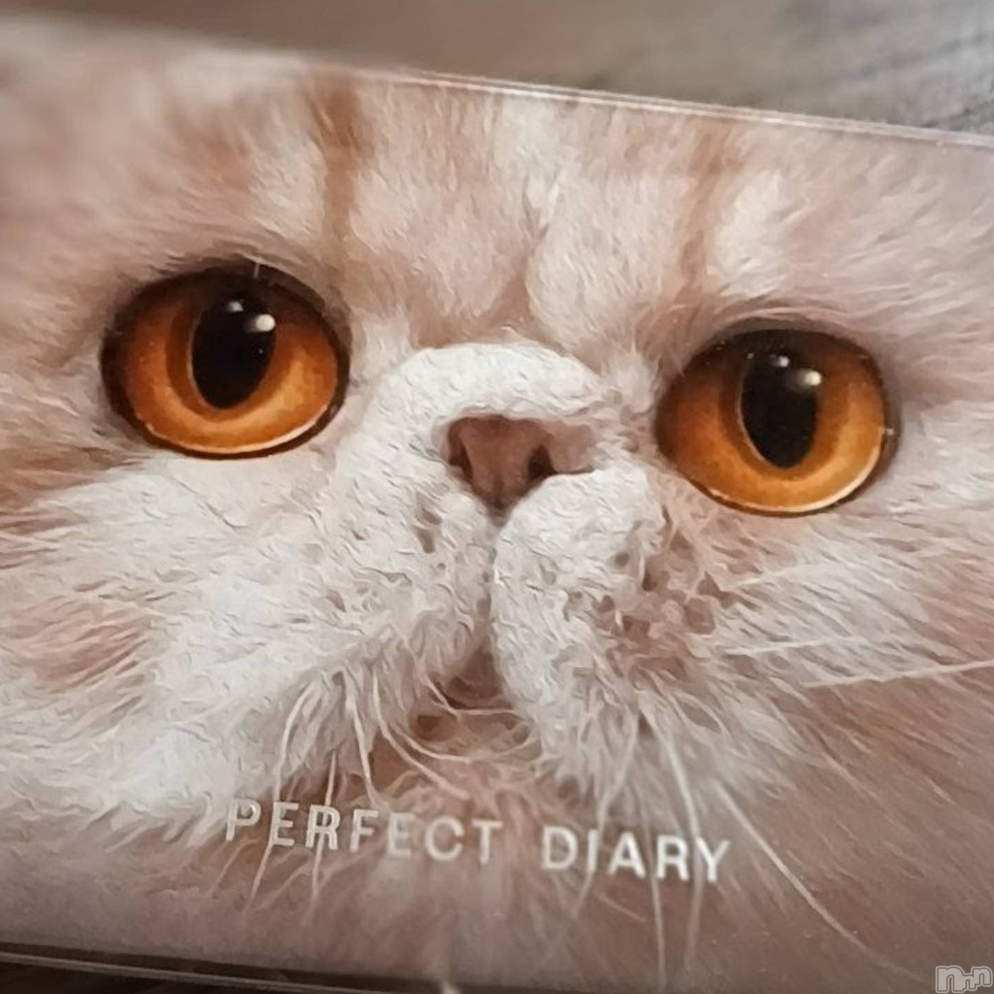 ���ᥭ��Х��顦�����CLUB ASLI(����֥�����) ��2026ǯ4��24���̥�֥�����04/24��