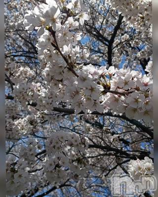 ���ᥭ��Х��顦�����CLUB ASLI(����֥�����) ����ߤ�4��8���̥�֥�����04/08��