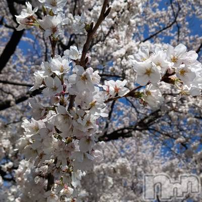 ���ᥭ��Х��顦�����CLUB ASLI(����֥�����) ����ߤ�4��10���̥�֥�����04/10��