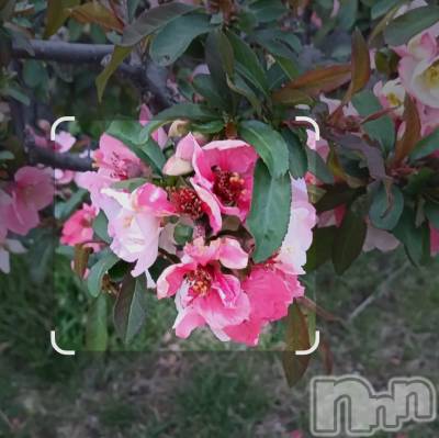 ���ᥭ��Х��顦�����CLUB ASLI(����֥�����) ����ߤ�4��14���̥�֥�����04/14��