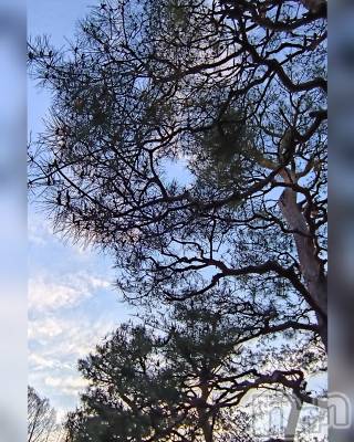 ���ᥭ��Х��顦�����CLUB ASLI(����֥�����) ����ߤ�4��16���̥�֥�����04/16��