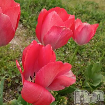 ���ᥭ��Х��顦�����CLUB ASLI(����֥�����) ����ߤ�4��23���̥�֥�����04/23��