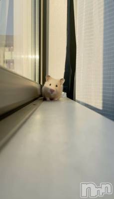 ����������ʥå��������륺�С�ROYAL ONE(���������) �ʤĤ�(24)��3��9���̥�֥�����ɡ���Ф�����‼️��