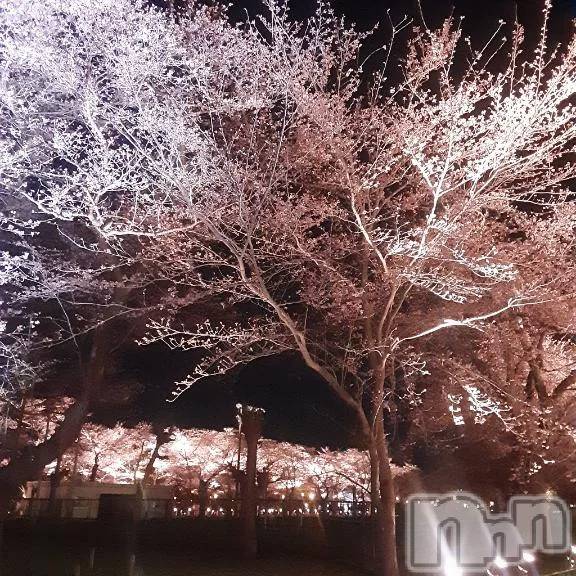 新潟デリヘル熟女の風俗 最終章(ジュクジョノフウゾクサイシュウショウ)ふみ(48)の2026年4月3日写メブログ「いいお天気です♪♪」