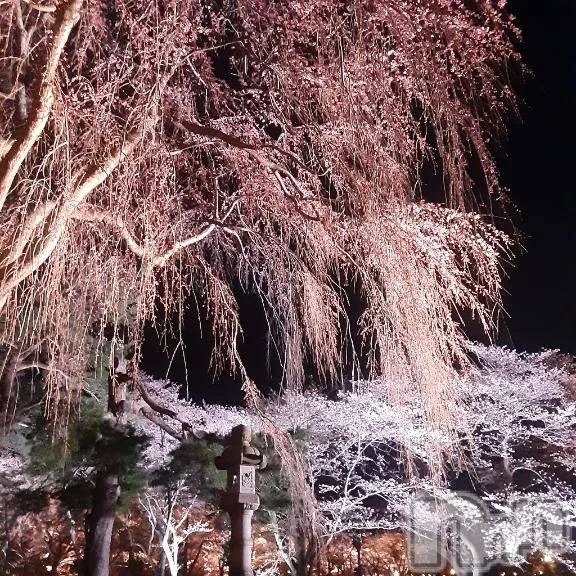 新潟デリヘル熟女の風俗 最終章(ジュクジョノフウゾクサイシュウショウ)ふみ(48)の2026年4月11日写メブログ「こんにちは♪」