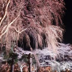 新潟デリヘル熟女の風俗 最終章(ジュクジョノフウゾクサイシュウショウ) ふみ(48)の4月11日写メブログ「こんにちは♪」