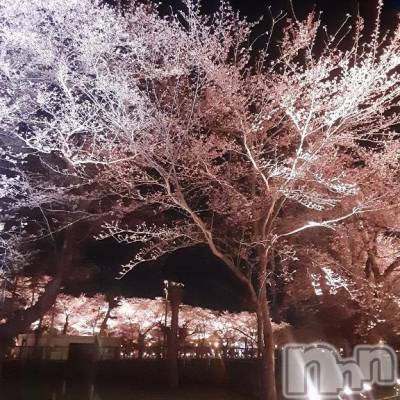 新潟デリヘル 熟女の風俗 最終章(ジュクジョノフウゾクサイシュウショウ) ふみ(48)の4月3日写メブログ「いいお天気です♪♪」