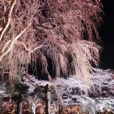 新潟デリヘル 熟女の風俗 最終章(ジュクジョノフウゾクサイシュウショウ) ふみ(48)の4月11日写メブログ「こんにちは♪」