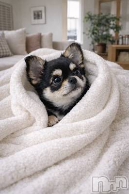 ��Ʋ����Х��顦�����CLUB��S(����֥���) ������2��17���̥�֥����֤Ϥ���ޤ��ơ�