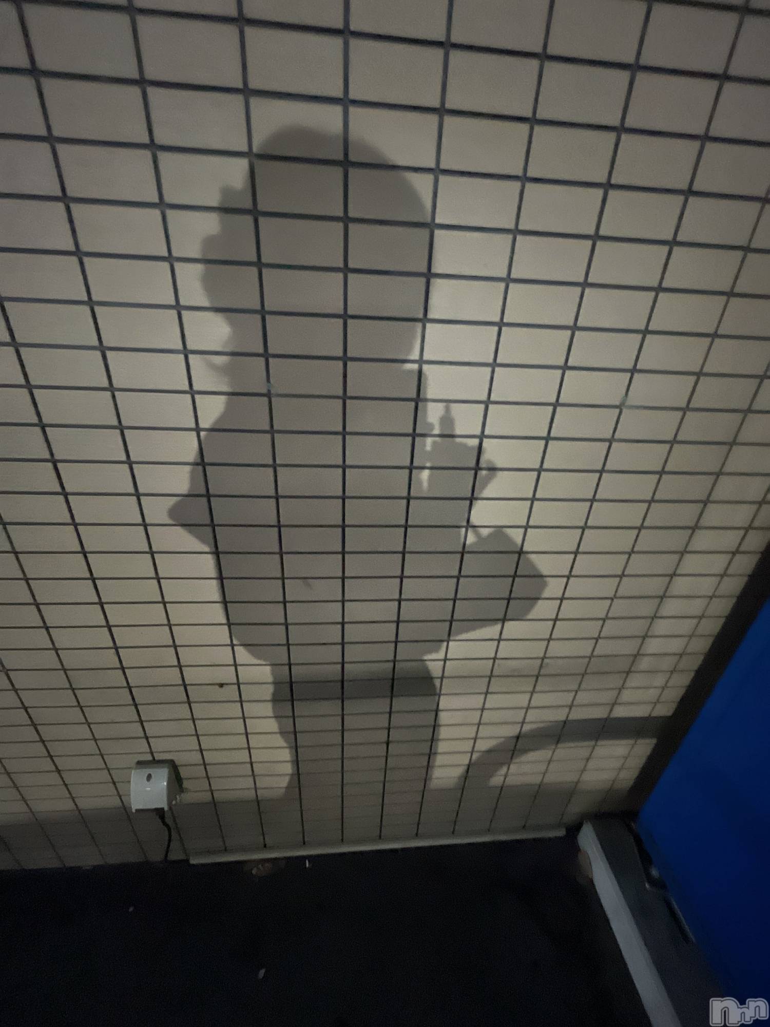 ��ˬ����Х��顦����֥���� �ץ���� ��ˬ(����� �ץ���� ����) ��2026ǯ3��5���̥�֥�����(����)��(�� )��