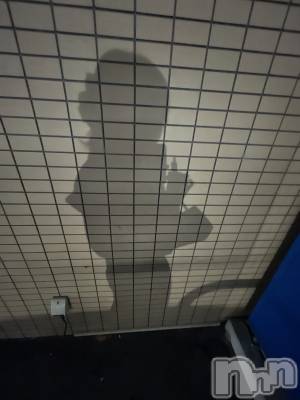 ��ˬ����Х��顦����֥���� �ץ���� ��ˬ(����� �ץ���� ����) ���� ����3��5���̥�֥�����(����)��(�� )��